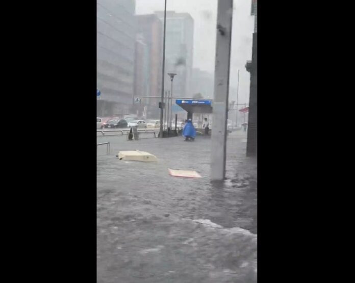 VIDEO-JAPON