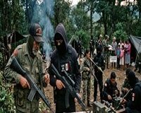 CÁRTELES desplazaron a las GUERRILLAS