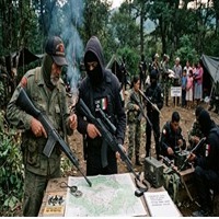 columna-carteles-guerrillas-mexico